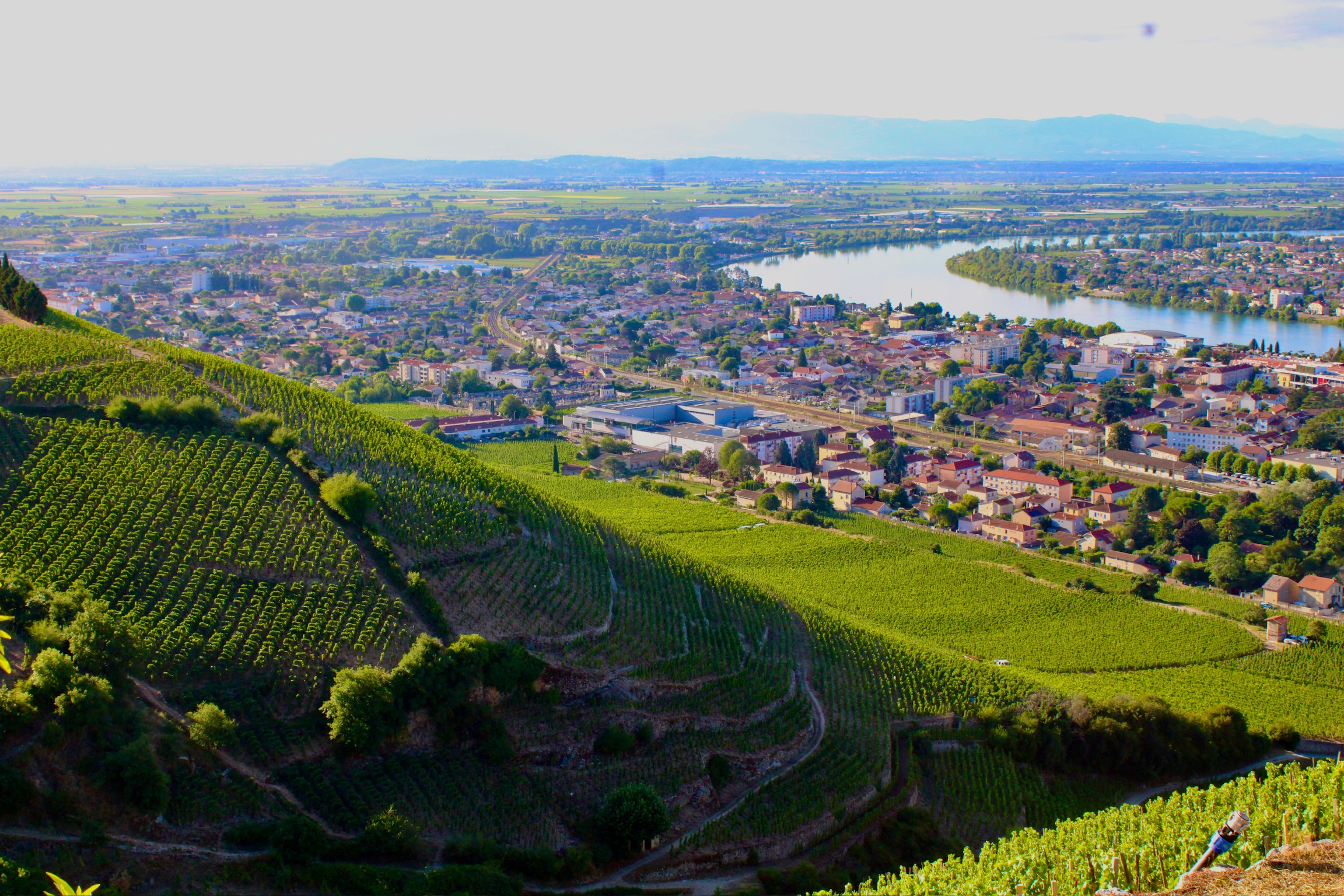 bar a vin tain l'hermitage